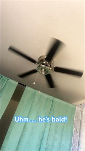 I think my ceiling fan is bald now..!