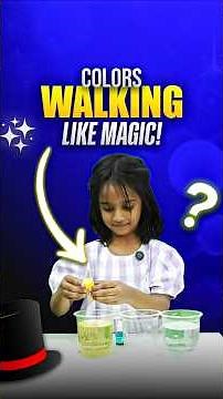 Walking Water Experiment | Capillary Action Explained for Kids