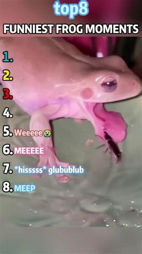 Top 5 Funniest Frog Sounds 🐸😂