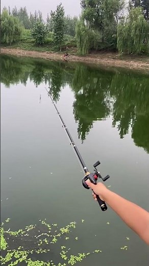 Test Cần Câu Máy Rút Gọn 32CM- 1,5M Cho Câu Lure Cá Lóc Và Cái Kết #fishing #carp