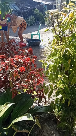 Ann Jay Ria Ramos on Reels