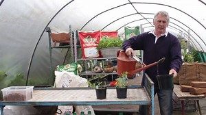  Rob from The Cottage Herbery explains how looks can be deceiving when it comes to coir pots. Learn how little and often is the key and see the 'No Drip' test for yourself! All products featured available online at: https://www.fertilefibre.com/ | FertileFibre peat-free compost, coir and more | Facebook