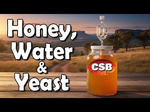 Easy Homemade Mead -Just 3 Ingredients! (Australian Mallee Honey Traditional Mead)