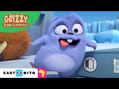 Grizzy and the Lemmings | Yummy! | Cartoonito Africa