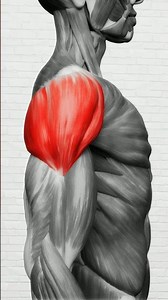The Best Exercises for WIDER SHOULDERS!