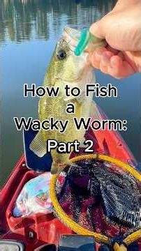 How to Fish a Wacky Worm - Part 2 - How to rig a wacky worm and the best worms #fishing #wackyworm