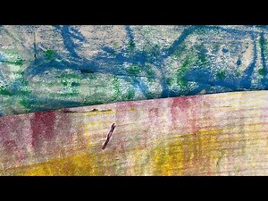 Experimenting with making textures on brayer off sheets