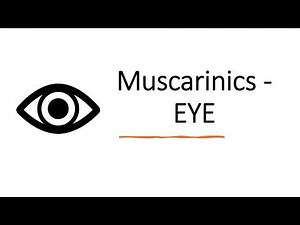 Muscarinic action on Eye - Actions, Mechanism, Uses, Adverse Effects (Pilocarpine)