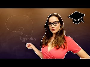 14 Types of COLLEGE Professors | Smile Squad Comedy