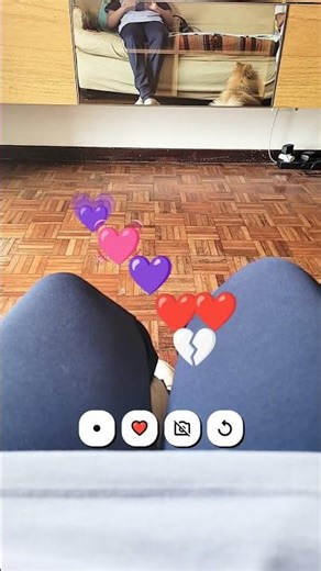 24 de novembro de 2025