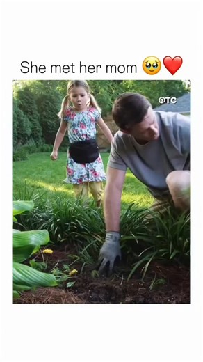 video creator 4567 on Instagram: "🥹 Interesting Fact: Miracles from Heaven (2016), This deeply moving scene, where Angela (Queen Latifah) shows spontaneous kindness to Christy Beam (Jennifer Garner) and her daughter, is crucial for establishing a core theme of the film: that small, unprompted acts of human decency can be the biggest miracles. Director Patricia Riggen deliberately cast Queen Latifah to bring her established warmth and authenticity to the role of the waitress, ensuring that the e