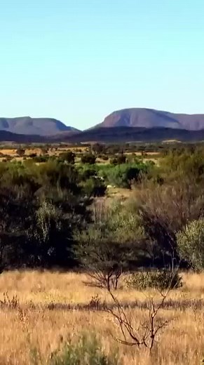 Wildlife - The Fascinating World of Wild Animals ｜ Full Series ｜ Free Documentary Nature-161-000 Part 209