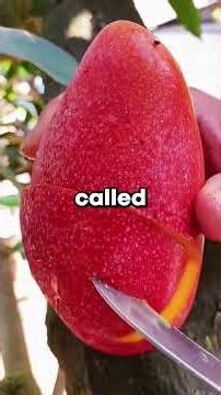 My nephew refused to go near my new girlfriend. When I asked why, he said, "She smells like the girl