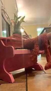 elmo world the family song