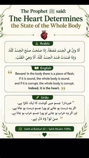 The Prophet ﷺ Said: The Heart Determines the State of the Whole Body ❤️