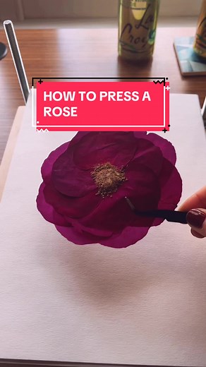 How to Press a Rose Tutorial