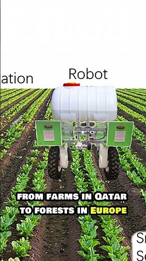 AI for Insect Monitoring: How Smart Tech is Saving Bees, Mosquitoes & Global Ecosystems (2025)