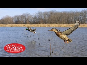 610± Acres of Prime Duck Hunting & Row Crop Farm | Stuttgart, AR Auction | NO RESERVE