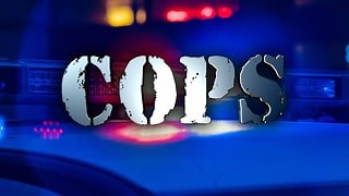 Watch COPS Online | Stream Fox Nation