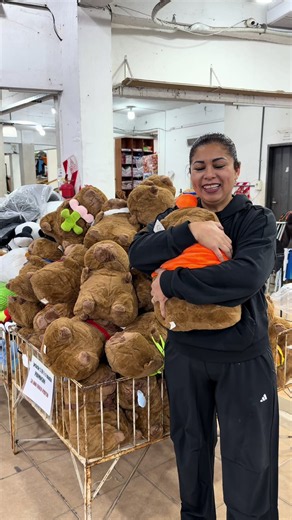 🥹✨ ¿Quién necesita un abrazo hoy? Mirá este hermoso Capivara con manta súper suave y calentita. 🧸💖 🌟 Ideal para dormir 🌟 Para regalar 🌟 Para acompañarte en los días fríos Porque todos merecemos un Capivara que nos dé ternura y abrigo. 🤎#CasaBonita #peluches
