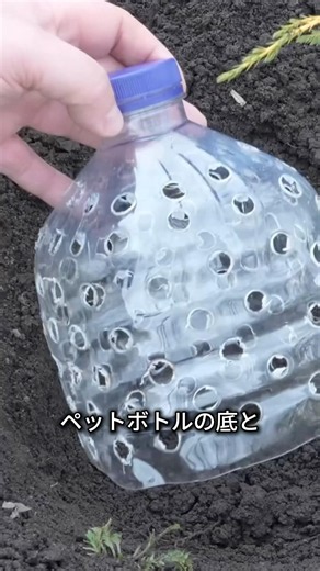 ペットボトルを埋めるだけで肥料が作られ続けます