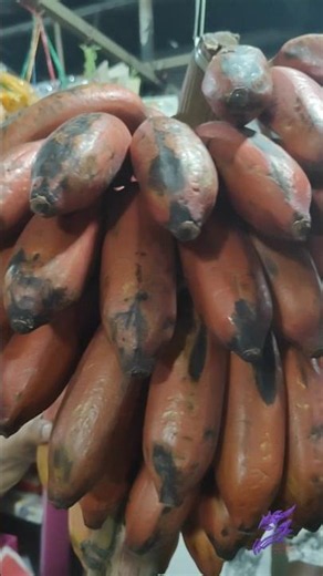 India's Red Banana ( செவ்வாழை ) | First Time Trying This Exotic South Indian Fruit | (लाल केला )
