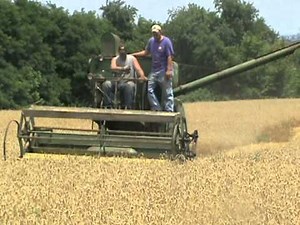 John Deere 40 Combine