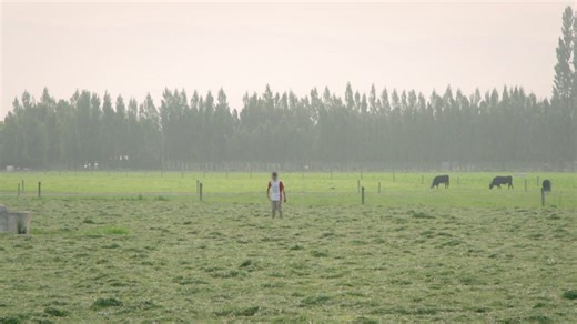 1.3M views · 21K reactions | Remember this classic chase from Highway Cops Season 5? Only in New Zealand! Catch up with Highway Cops on TVNZ+ https://www.tvnz.co.nz/shows/highway-cops * * * * * * * * * * * * #CopShows #policechasevideos #newzealand #funnyvideos #farmbike #farmchase | Highway Cops | Facebook