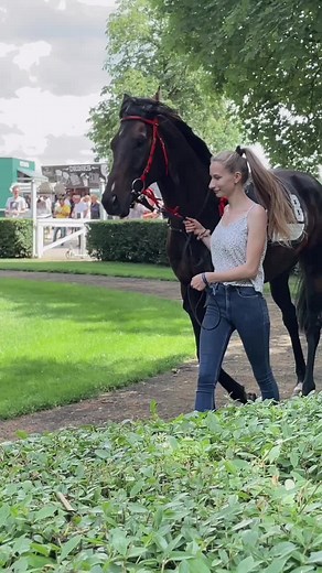 Onkel Volli: Das Arschlochpferd beim Pferderennen