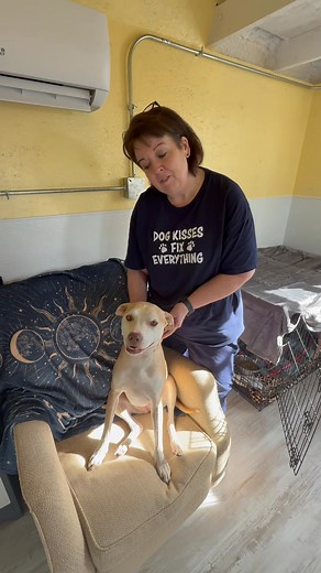 1.5K reactions · 214 shares | Imagine a shelter where fear melts away...