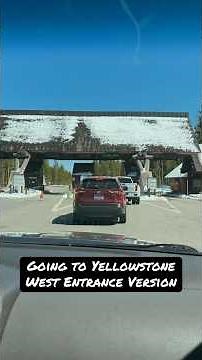 Entering Yellowstone West Entrance | Madison River Drive + Wildlife Views 🦬🌲#yellowstone