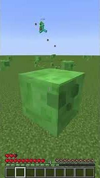 Hiding as a SLIME on a SUPERFLAT!