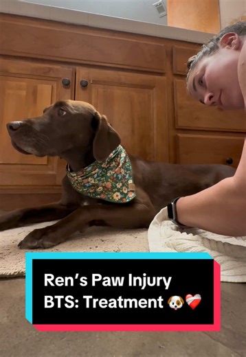 Her trust is a gift 🐶🫶🏻 #dogmom #humananimalbond #gooddog #veterinarian #bts