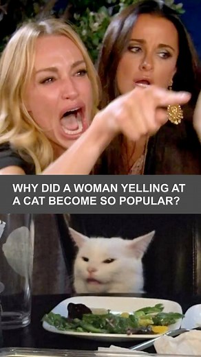Did You Know US? | You’ve probably seen this meme before, but do you know why a woman yelling at a cat became so popular? In 2019, a Twitter user put... | Instagram