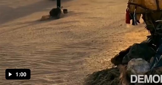 The Odyssey, but historical accurate fixes by Demonflyingfox with AI. - Video