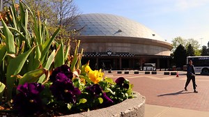 10K views · 498 reactions | Spring has sprung in Storrs  | UConn | Facebook
