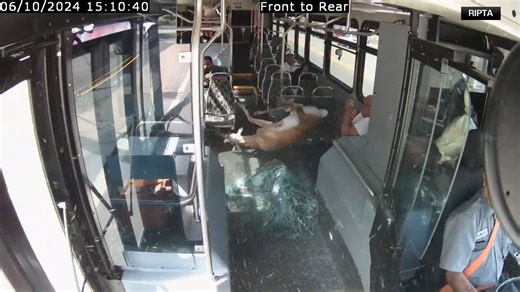 WATCH THIS! The Rhode Island Public Transit Authority released surveillance video of a deer crashing through a bus Monday afternoon. Full story ---> https://wjactv.com/news/nation-world/video-deer-crashes-through-rhode-island-bus-leaving-3-injured-warwick-public-transit-passengers-injured-side-window-windshield-driver-leocadio-hernandez# | WJAC-TV News