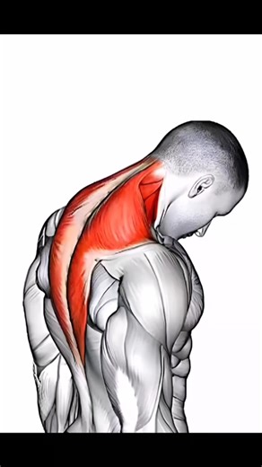 111K views · 1.1K reactions | How to Make Your Trapezius Huge and Brutal: The Most Effective Trap Exercises for Explosive Size, Strength, and Power. #Ironpulse #Fitness #bestexerciseforback #gymtips #gymtime #liftlegendgym | LiftLegend Gym | Facebook