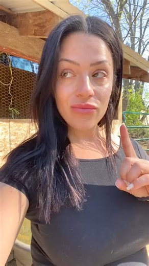 1152 #fyp #couple #marriage #Christmas #movie #ootd #enneagram #persion #foryoupage #fyp #reels #viral #BTS #tutorial | I'm blue TheHusky