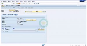 SAP软件 会计科目表