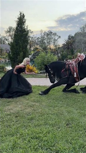Who Is Prettier Me Or My Horse? #friesian #horses #nataliereynolds #dance #trending #quinceañera