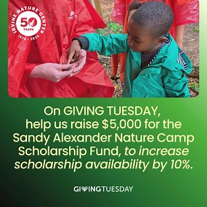This GIVING TUESDAY, will you help us raise $5,000 for the Sandy Alexander Nature Camp Fund at Irvine? Your support will enable us to increase scholarship availability by 10% for Summer 2026. Every gift - of any amount - makes an impact. Can you help? Nature has the power to change lives, and summer camp is where it starts. At Irvine, nature camp is more than a week outdoors; it’s a place where curiosity sparks, confidence grows, and lifelong connections take root. Every child deserves this expe