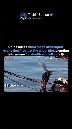 China’s Stealth Biomimetic Drone That Flies Exactly Like a Real Bird 🤯