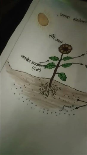 project based learning PDF ka Kaun Banega poshan expert mein ka Chitra