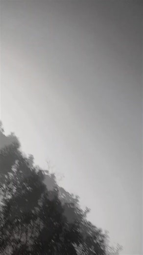 mayavi rez khanna (@mayavi.rez.khanna)’s videos with original sound - iamusman774