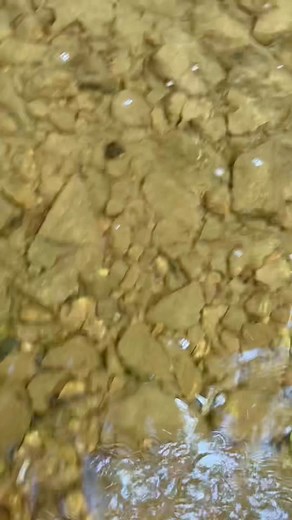 761K views · 1.5K reactions | Beautiful Day Gold Prospecting | FishnGold | Facebook