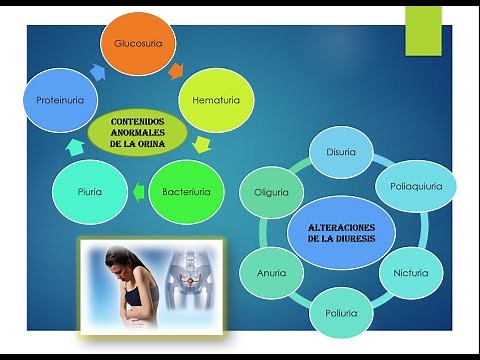 CONTROL DE DIURESIS 👀💦 /Teoria /