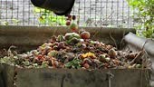 Bio-waste recycling. Compost bin with organic waste. Bio food waste...