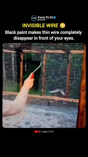 Why Black Paint Makes Wires Disappear 🤯