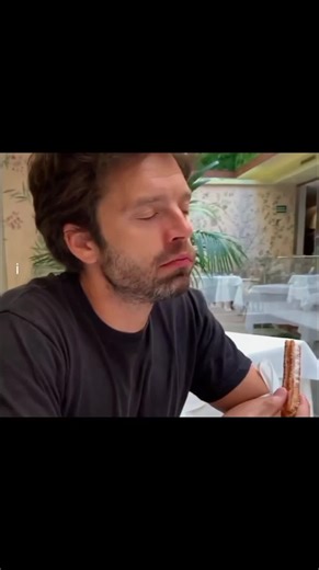 Sebastian Stan: A Celebration of Talent